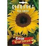 Semi - Girasole Big Smile foto, nuovo 2024, miglior prezzo EUR 6,35 recensione