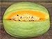 foto Portal Cool 100 - Semi: semi di anguria del re del deserto - pelle verde chiaro e carne giallo-arancio. !! recensione