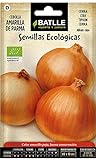 Semi Ecologici - Cipolla Gialla di Parma (210 Seeds - Bio) foto, nuovo 2024, miglior prezzo EUR 3,90 recensione