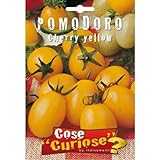 Semi - Pomodoro ciliegino giallo - Cherry yellow foto, nuovo 2024, miglior prezzo EUR 6,35 recensione