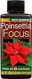 Growth Technology Poinsettia Focus concentrato Plant Food 100 ml foto, nuovo 2024, miglior prezzo EUR 14,54 recensione