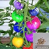 BigFamily 100Pcs Semi di pomodoro arcobaleno Semi di verdure bonsai colorati Home Garden Decor foto, nuovo 2024, miglior prezzo EUR 3,98 recensione