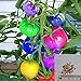 foto BigFamily 100Pcs Semi di pomodoro arcobaleno Semi di verdure bonsai colorati Home Garden Decor recensione