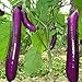 foto Rosepoem Adatto per piantare fattoria o casa Semi di melanzana viola lunga alta produzione 150PCS recensione