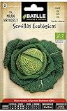 Battle - Semi Ecologici Verza di Milano 3 (225 Semi - Bio) foto, nuovo 2024, miglior prezzo EUR 7,92 recensione