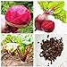 foto SEMI PLAT FIRM-Vendita calda Barbabietola Seed Vulgaris di verdure Seed Bulk semi di barbabietole non-OGM Heirloom Bonsai Casa Giardino 50 Pz recensione