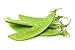 Photo Sugar Snap Snow Peas, 50 Heirloom Seeds Per Packet, Non GMO Seeds, Botanical Name: Pisum sativum 'Macrocarpon Group', Isla's Garden Seeds review