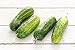 Photo Boston Pickling Cucumber Seeds, 100 Heirloom Seeds Per Packet, Non GMO Seeds, Isla's Garden Seeds review
