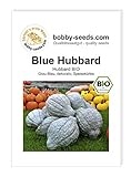 Blue Hubbard BIO Kürbissamen von Bobby-Seeds Portion Foto, neu 2024, bester Preis 2,75 € Rezension