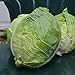 Photo Danish Ballhead Cabbage - 100 Seeds - Heirloom & Open-Pollinated Variety, Non-GMO Vegetable Seeds for Planting Outdoors in The Home Garden, Thresh Seed Company review