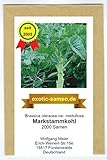Markstammkohl - vergessenes Gemüse - Brassica oleracea - 2000 Samen Foto, neu 2024, bester Preis 1,95 € Rezension