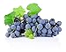Photo Homegrown Non GMO Grape Seeds, Bulk Seeds, Concord (20) review