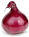 Photo Red Grano Onion Seeds, 300 Heirloom Seeds Per Packet, (Short Day) Non GMO Seeds, Botanical Name: Allium cepa, Isla's Garden Seeds review