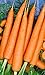 Photo 1200 Tendersweet Carrot Seeds | Non-GMO | Fresh Garden Seeds review
