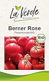 Berner Rose BIO Tomatensamen Foto, neu 2024, bester Preis 3,25 € Rezension