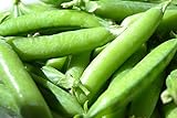 Sugar Ann Snap Pea Garden Seeds, 50 Heirloom Seeds Per Packet, Non GMO Seeds Photo, new 2024, best price $6.25 ($0.12 / Count) review