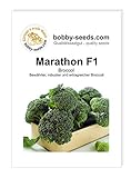 Kohlsamen Marathon F1 Broccoli Portion Foto, neu 2024, bester Preis 2,30 € Rezension