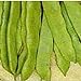 Photo Romano Pole Beans Seeds (20+ Seeds) | Non GMO | Vegetable Fruit Herb Flower Seeds for Planting | Home Garden Greenhouse Pack review