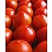 Photo Early Girl Tomato - One of The Earliest Tomatoes!!!!!!!!!(25 - Seeds) review