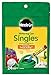 Photo Miracle-Gro Watering Can Singles All Purpose Water Soluble Plant Food, Includes 24 Pre-Measured Packets review