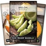 Sow Right Seeds - Cantaloupe Fruit Seed Collection for Planting - Individual Packets Honey Rock, Hales Best and Honeydew Melon, Non-GMO Heirloom Seeds to Plant an Outdoor Home Vegetable Garden… Photo, new 2024, best price $9.99 review