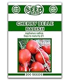 Cherry Belle Radish Seeds - 200 Seeds Non-GMO Photo, new 2024, best price $1.59 review