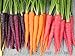 Photo Rainbow Blend Carrot Heirloom Seeds - B258 (150 Seeds, 1/4 Gram) review