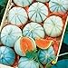 Photo 10 Savor Melon Seeds | Exotic Garden Fruit Seeds to Plant | Sweet Exotic Melons, Grow and Eat review