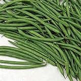 Burpee Stringless Green Bush Bean - 25 Count Seed Pack - Non-GMO - A Culinary Star, pods are Delicious in Many Foods. - Country Creek LLC Photo, new 2024, best price $1.99 review