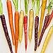 Foto Gemüsesamensorten - 800Pcs nahrhafte gemischte Regenbogen Karottensamen Einfach wachsen Gemüse Garten Pflanze Kinder Anfänger Gärtner Geschenk -1 # Rezension