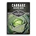 Photo Survival Garden Seeds - Golden Acres Green Cabbage Seed for Planting - Packet with Instructions to Plant and Grow Yellow-White Cabbages in Your Home Vegetable Garden - Non-GMO Heirloom Variety review