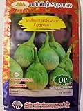 Golden Mountain Thai Light Green Round Medium Eggplant Seeds Photo, new 2024, best price $6.99 review