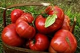 75+ Pink Brandywine Heirloom Tomato Seeds Photo, new 2024, best price $4.49 review