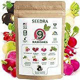 Seedra 9 Radish Seeds Variety Pack - 2500+ Non GMO, Heirloom Seeds for Indoor Outdoor Hydroponic Home Garden - Champion, German Giant, Watermelon, Daikon, French Breakfast, Cherry Belle & More Photo, new 2024, best price $13.56 review