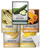 Squash Seeds for Planting 5 Individual Packets - Zucchini, Delicata, Butternut, Spaghetti and Golden Crookneck for Your Non GMO Heirloom Vegetable Garden by Gardeners Basics Photo, new 2024, best price $10.95 ($2.19 / Count) review