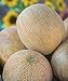Photo Burpee Ambrosia Cantaloupe Melon Seeds 30 seeds review