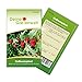 Foto Erdbeerspinat Samen - Chenopodium foliosum - Erdbeerspinatsamen - Gemüsesamen - Saatgut für 200 Pflanzen Rezension