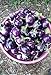 Photo 25 Seeds / Purple Eggplant (Baby Eggplants) review