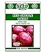 Photo Red Creole Onion Seeds - 300 Seeds review