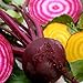 Photo Beets - Gourmet Mix of Beet Seeds ► Non-GMO Red & Yellow Beet Seeds (100+ Seeds) ◄ by PowerGrow Systems review