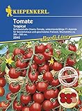 Tomatensamen - Tomate Tropical F1 von Kiepenkerl Foto, neu 2024, bester Preis 5,59 € Rezension