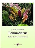 Echinodorus: Die beliebtesten Aquarienpflanzen Foto, neu 2024, bester Preis 49,99 € Rezension