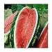 Photo David's Garden Seeds Fruit Watermelon Allsweet 1429 (Red) 50 Non-GMO, Heirloom Seeds review