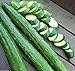 Photo Japanese Long Burpless Cucumber Seeds - Sooyow Nishiki Green Non-GMO (25 - Seeds) review