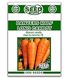 Danvers Half Long Carrot Seeds - 1000 Seeds Non-GMO Photo, new 2024, best price $1.59 review