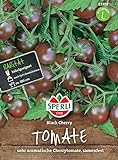 83303 Sperli Premium Tomaten Samen Black Cherry | Cherrytomate | Schwarze Tomaten | Cherry Tomaten | Schwarze Tomaten Samen Foto, neu 2024, bester Preis 5,47 € Rezension