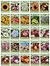 Photo 25 Slightly Assorted Flower Seed Packets - Includes 10+ Varieties - May Include: Forget Me Nots, Pinks, Marigolds, Zinnia, Wildflower, Poppy, Snapdragon and More - Made in the USA review