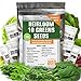 Photo Heirloom Non-GMO Lettuce and Greens Seeds Variety Pack for Outdoor and Indoor Gardening & Hydroponics, 5000+ Seeds - Kale, Butter, Oak, Spinach, Romaine Bibb & More review