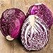 Photo RattleFree Cabbage Seeds for Planting | Heirloom & Non-GMO | 500 Red Acre Cabbage Vegetable Seeds for Planting Home Gardens | Growing Instructions Included on Planting Packets review