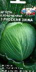 Photo Cabbage grade Russkaya zima F1